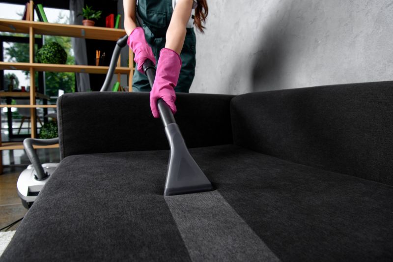 Furniture Cleaning